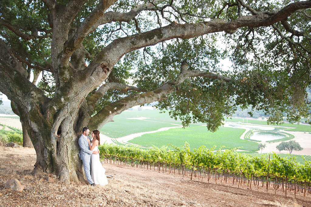 How much does a Wine Country Wedding cost?