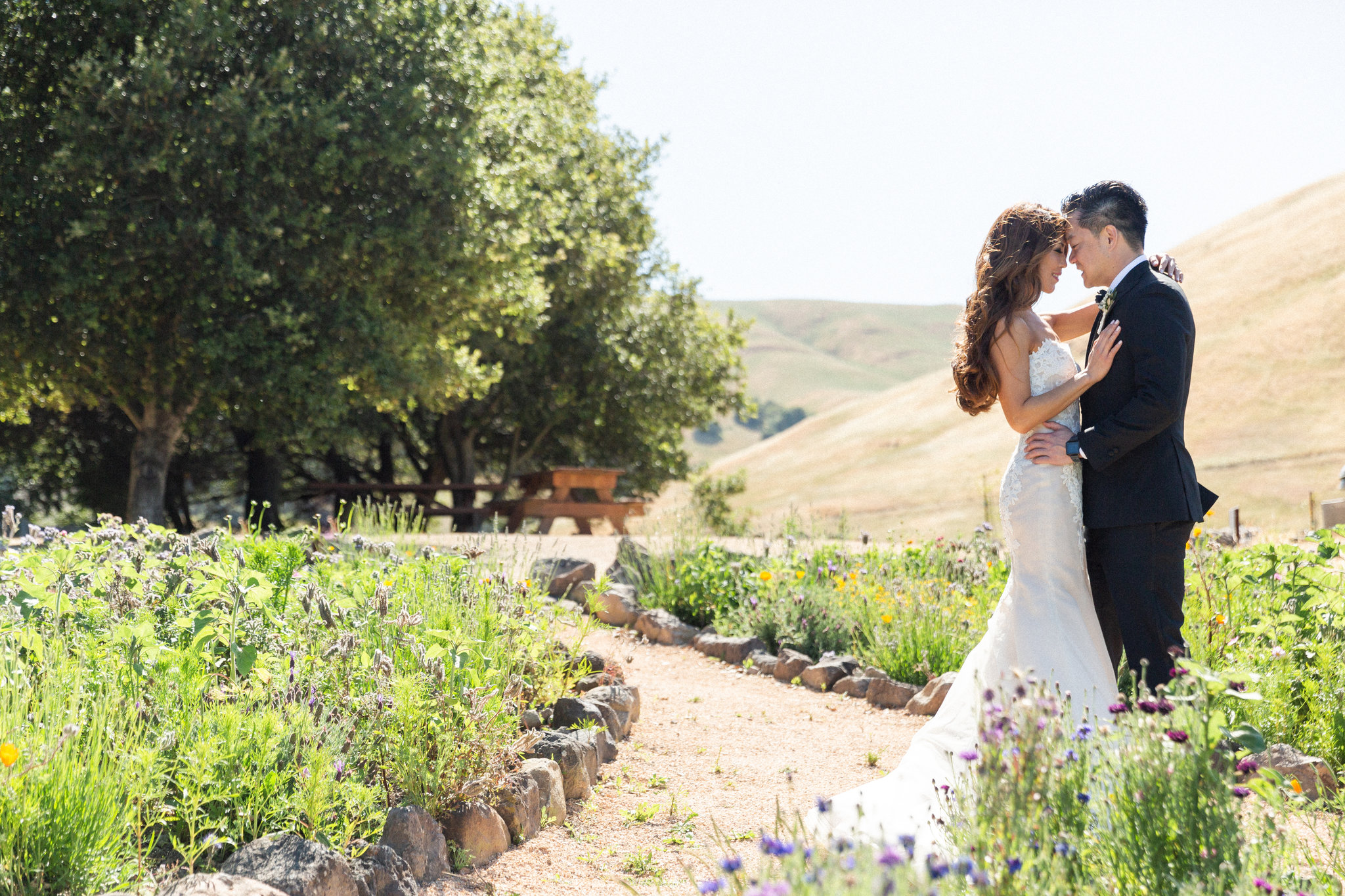 Amy & Ken – Romantic Sonoma Vineyard Wedding