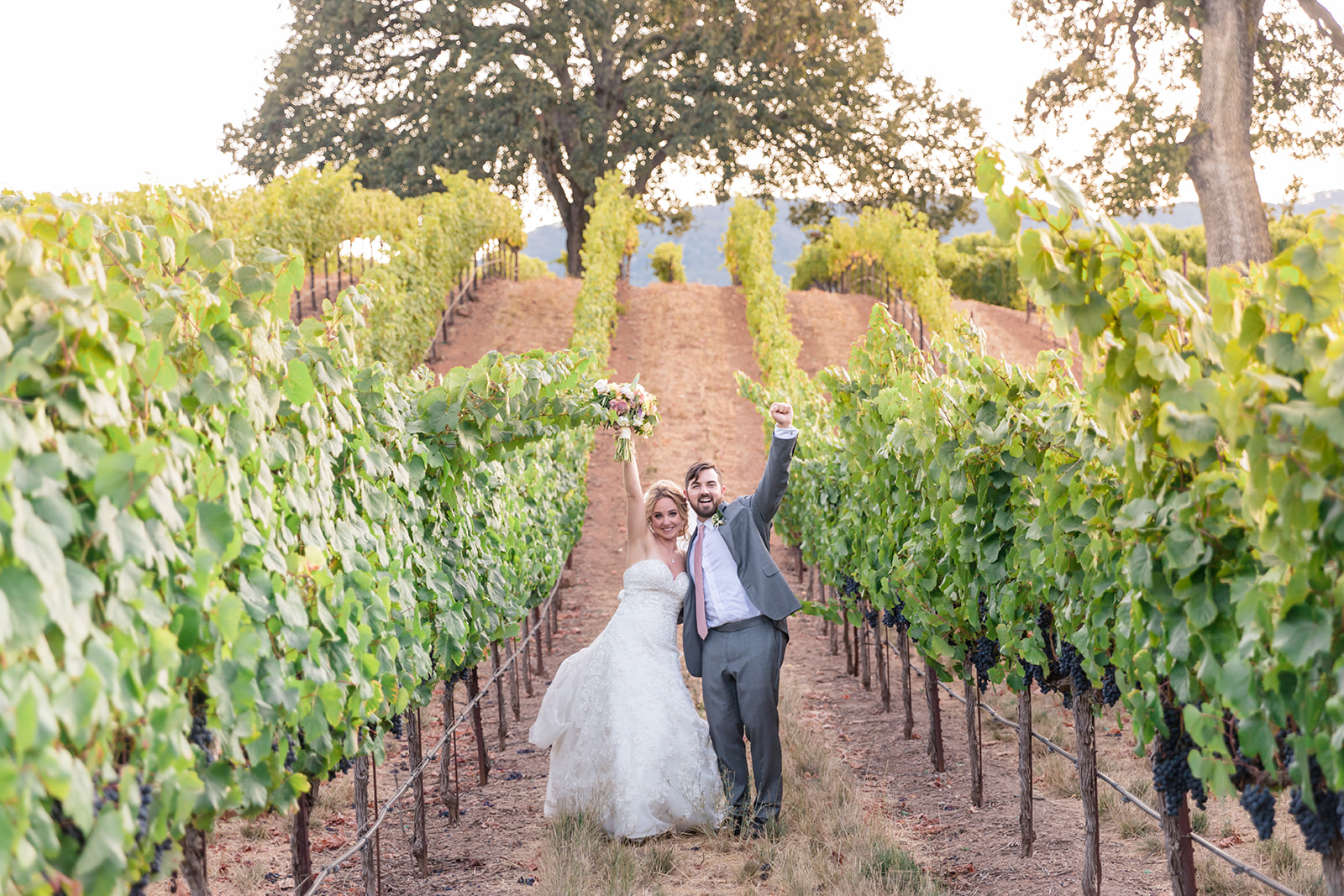 Lauren & Jeff ~ BR Cohn Winery Wedding