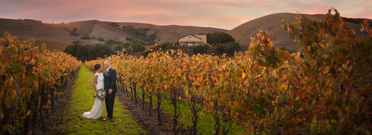 Bride and Groom in the vineyards in November at Gloria Ferrer
